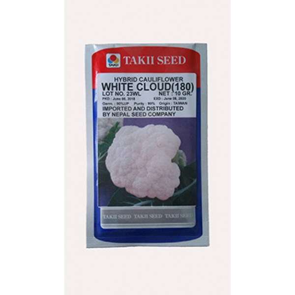 Hybrid Cauliflower_WhiteCLoud_SN (fulkopi ko biu) Hybrid Cauliflower_WhiteCLoud_SN (fulkopi ko biu)