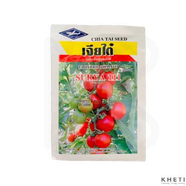 Tomato (Tamatar ko Biu) Surya (111) / NC