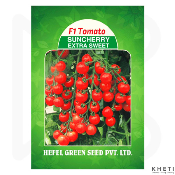 Tomato (Suncherry Extra Sweet) 