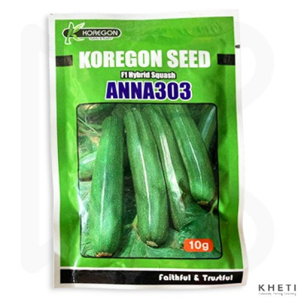 F1 Hybrid Squash ANNA-303 (10gm)