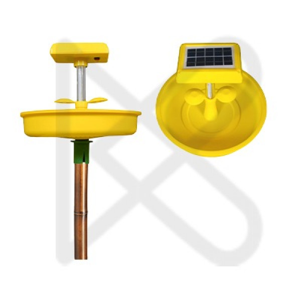 Solar Light Trap 