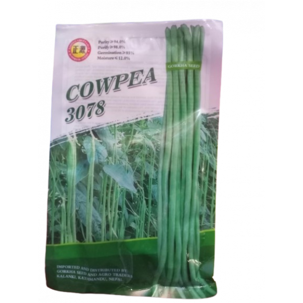 COWPEA 3078 