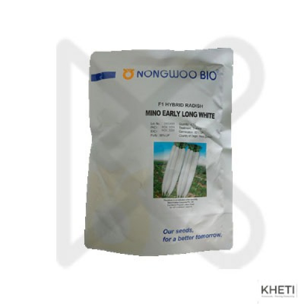 Radish_Mino Early Long White (Mula Ko Biu)