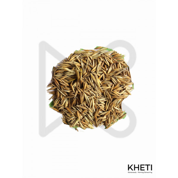 forage oat seed (जै घाँस )