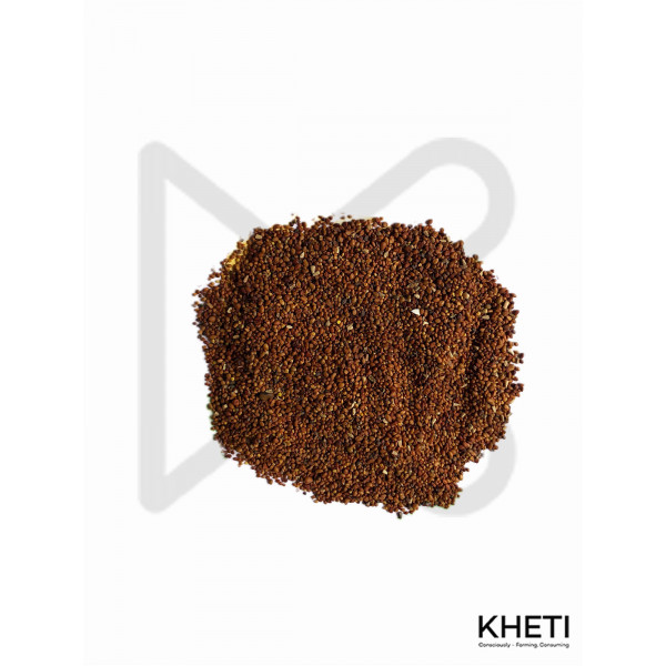 red clover seed