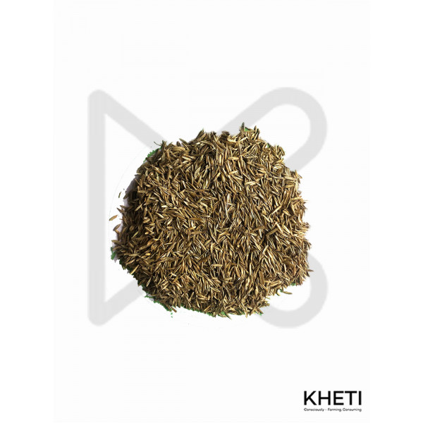 Rye grass seed 