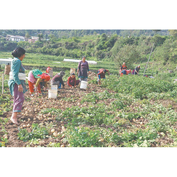 Climate Smart Agriculture(CSA) Packages 