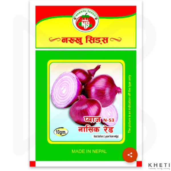 Onion Nasik Red (N-53)