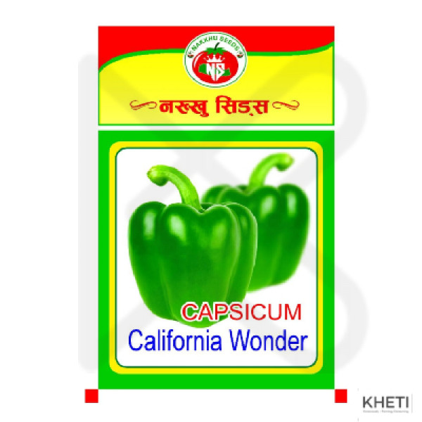 Capsicum seeds (California Wonder) 
