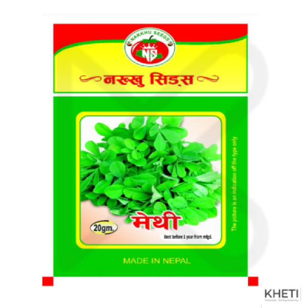 Fenugreek Seed (Methi)