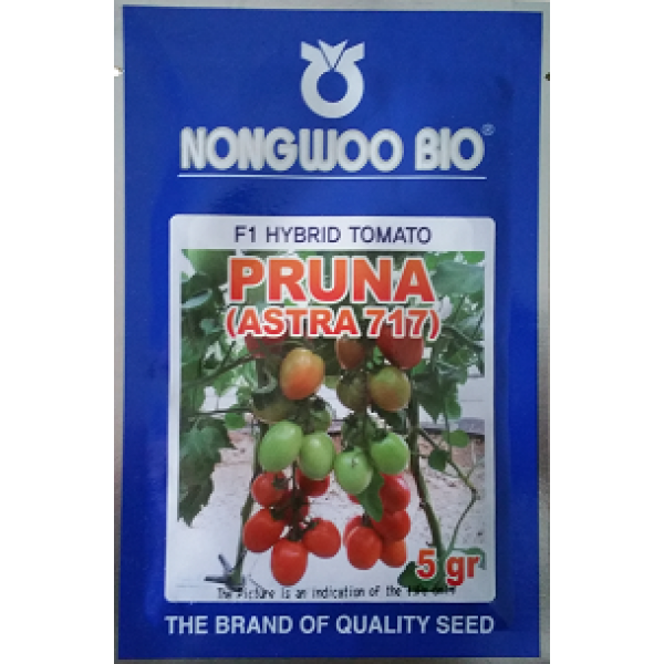F1 Hybrid Tomato Seed Pruna (Astra 717) 