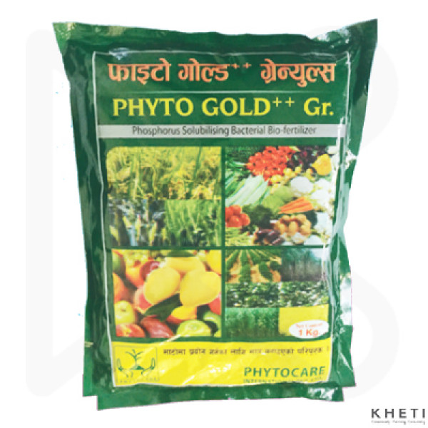 Phyto Gold ++ GR Phyto Gold ++ GR