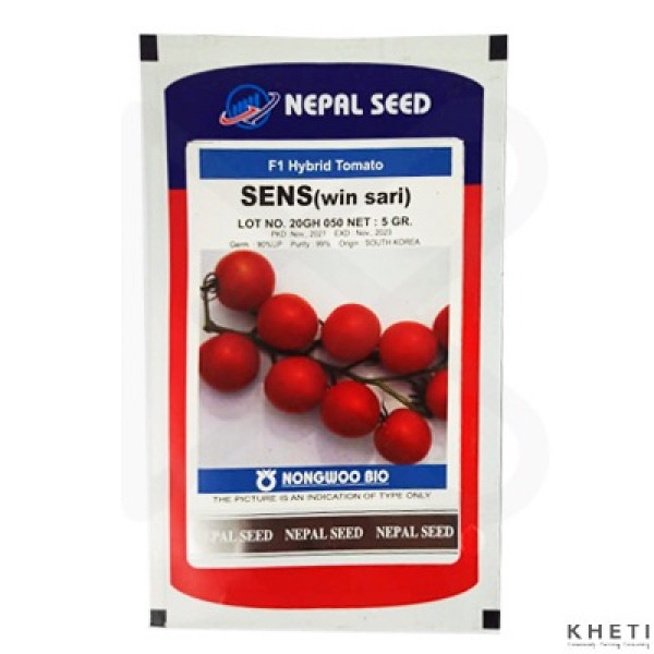 Tomato Seed_Win Sari(Sens)