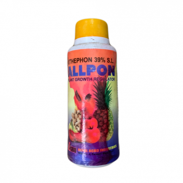 Allpon Allpon