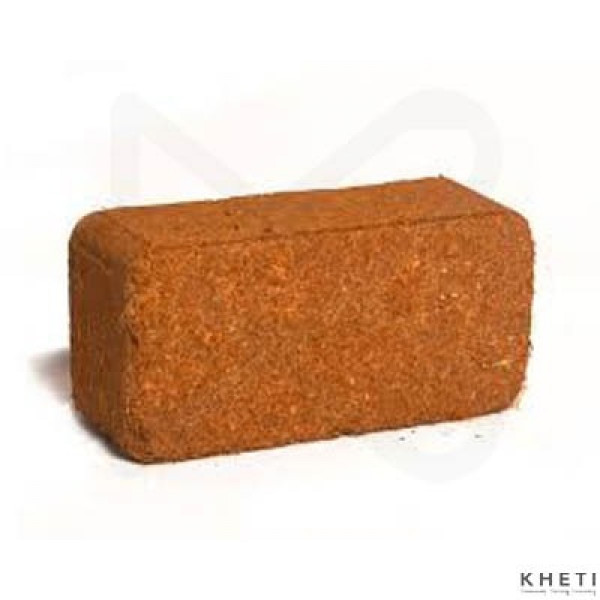 NTS Cocopeat Brick (Appx. 650gm) 