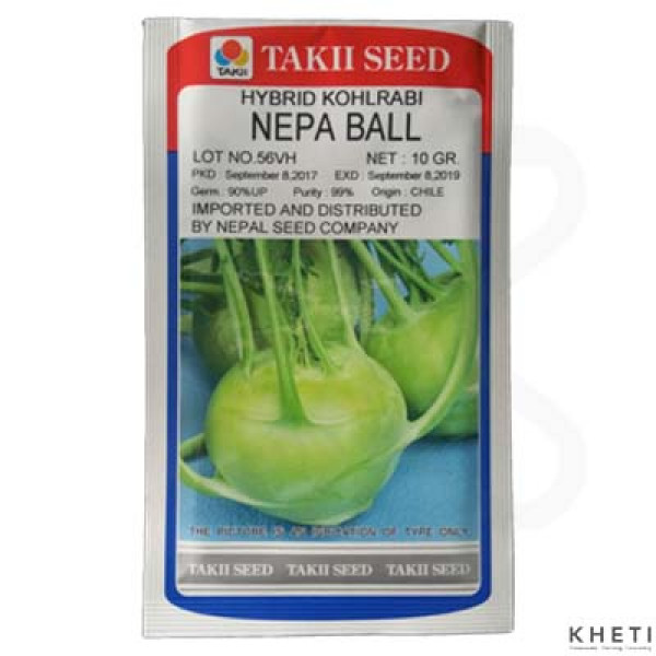 Kohlrabi_NepaBall (Turnip Cabbage) 