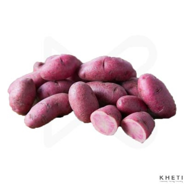 Potato seeds (Blue)