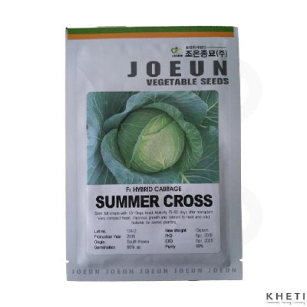 F1 Hybrid Cabbage_SummerCross_SN (Bandakopi ko biu) 