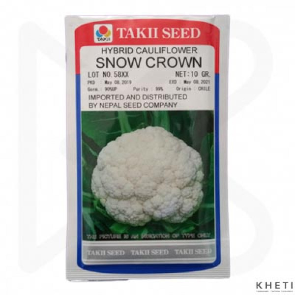 Cauliflower_SnowCrown (Fulkopi Ko Biu) 