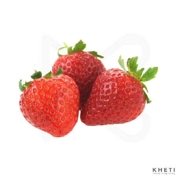 Strawberry Sapling 