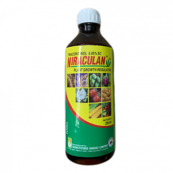 Niraculan Niraculan
