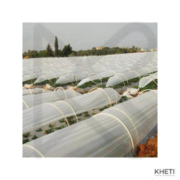 NTS low tunnel plastic (6 ft X 500 m , 20 micron) 