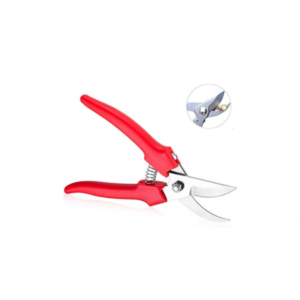 Pruning Scissors(Big) 
