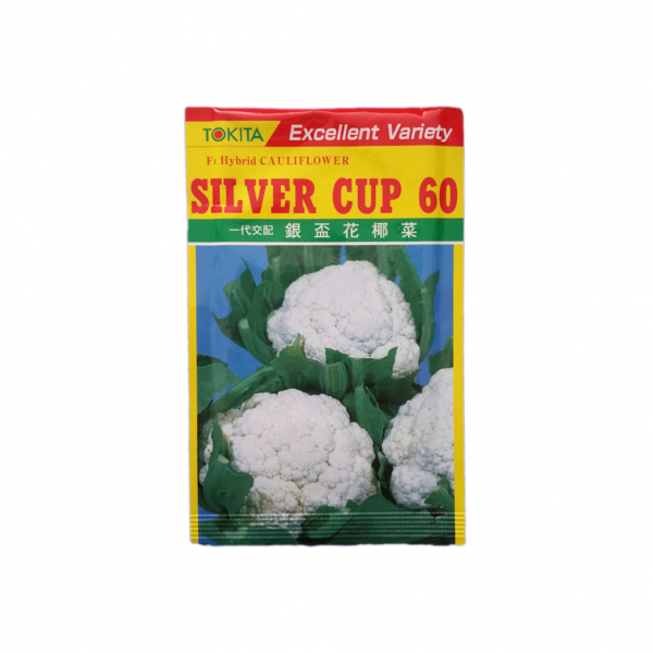 Cauliflower_SilverCup (Fulkopi ko Biu) 